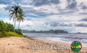 pelada playa